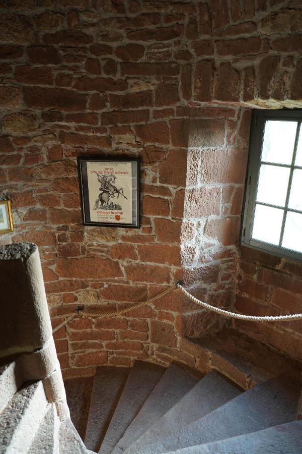 Chateau De Vassinhac Chambres D'Hotes Collonges La Rouge מראה חיצוני תמונה