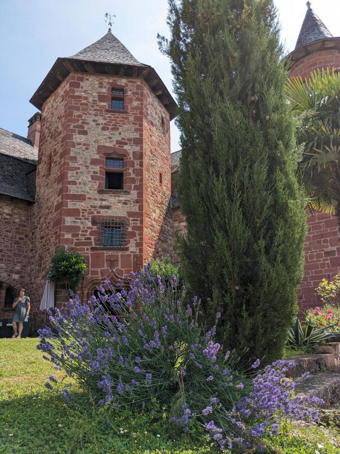 Chateau De Vassinhac Chambres D'Hotes Collonges La Rouge מראה חיצוני תמונה
